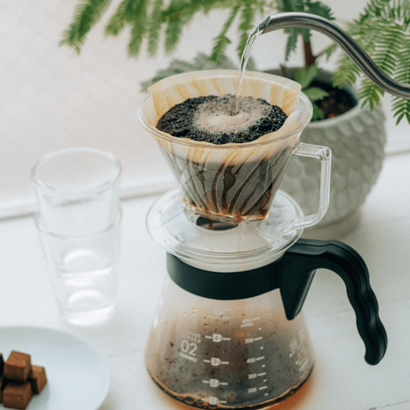 Hario Pegasus Dripper 02 – Transparenter Plastik-Pour-Over-Brewer