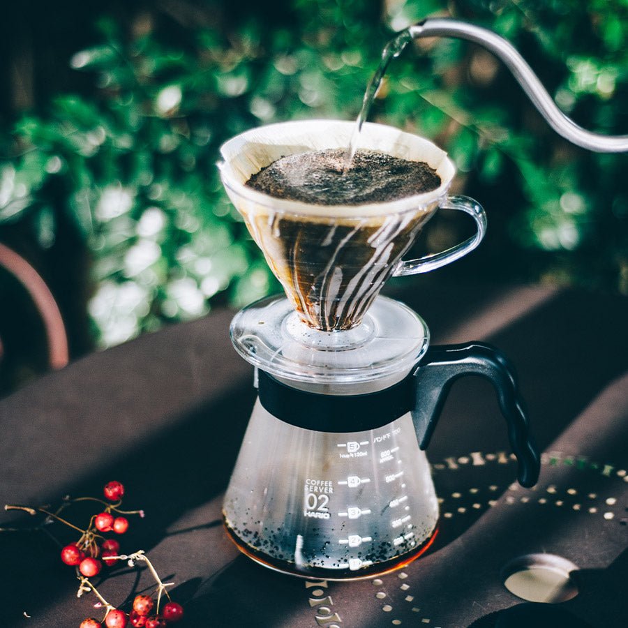 Hario V60-02 Plastik-Dripper