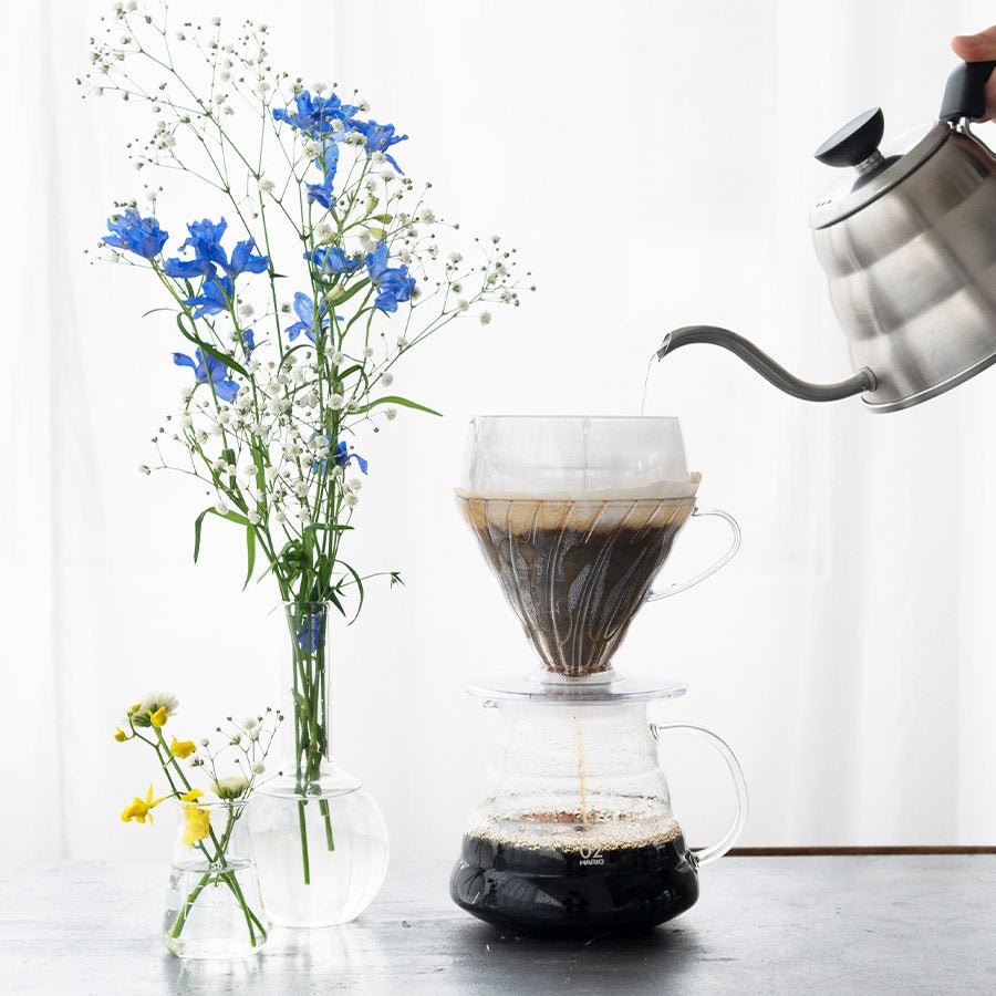Hario V60-02 Plastik-Dripper
