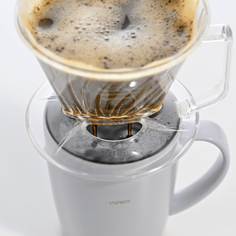 Hario Pegasus Dripper 02 – Transparenter Plastik-Pour-Over-Brewer