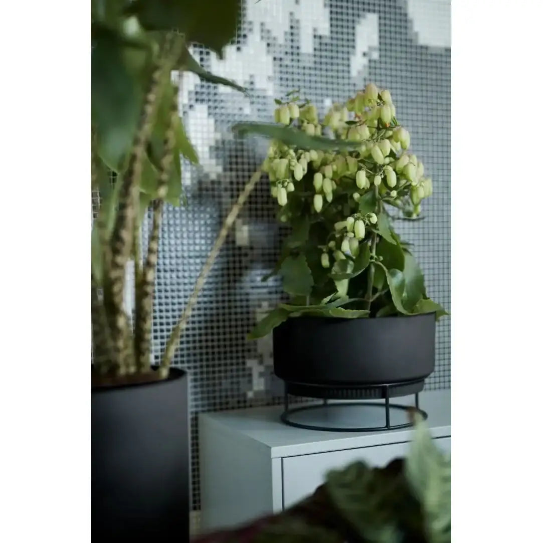 Moderne Elho B. for Studio Pflanzschale 30 cm in Living Black. Ideal für Zimmerpflanzen, wasserdicht & stilvoll.