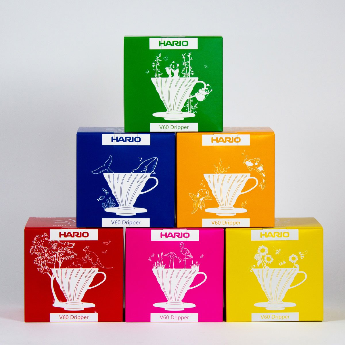 Hario V60-02 Plastik-Kaffee-Dripper mit 40 Filtern
